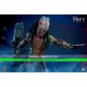 Feral Predator (Battle Damaged) par Hot Toys - figurine 1/6 Prey de 37 cm - TMS173