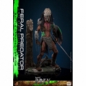Feral Predator (Battle Damaged) par Hot Toys - figurine 1/6 Prey de 37 cm - TMS173