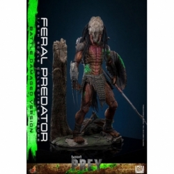 Feral Predator (Battle Damaged) van Hot Toys - Prey 1/6 schaal actiefiguur - TMS173