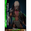 Feral Predator (Battle Damaged) par Hot Toys - figurine 1/6 Prey de 37 cm - TMS173