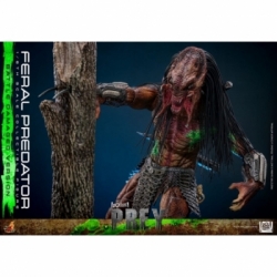 Feral Predator (Battle Damaged) van Hot Toys - Prey 1/6 schaal actiefiguur - TMS173
