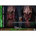 Feral Predator (Battle Damaged) by Hot Toys - Prey 1/6 scale action figure - TMS173