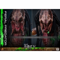 Feral Predator (Battle Damaged) van Hot Toys - Prey 1/6 schaal actiefiguur - TMS173