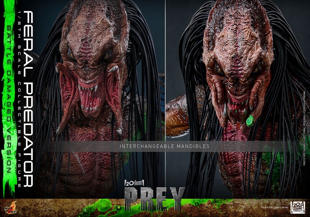 Feral Predator (Battle Damaged) par Hot Toys - figurine 1/6 Prey de 37 cm - TMS173