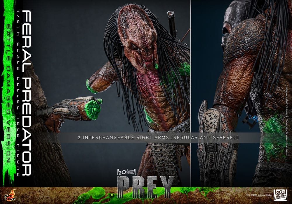 Feral Predator (Battle Damaged) par Hot Toys - figurine 1/6 Prey de 37 cm - TMS173