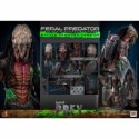 Feral Predator (Battle Damaged) by Hot Toys - Prey 1/6 scale action figure - TMS173