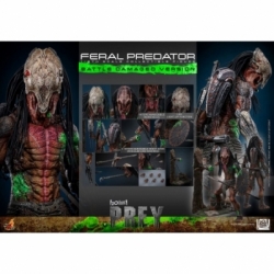 Feral Predator (Battle Damaged) van Hot Toys - Prey 1/6 schaal actiefiguur - TMS173