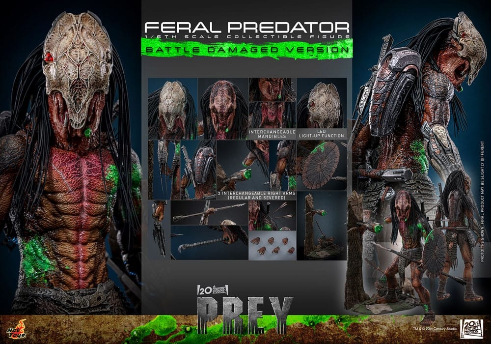Feral Predator (Battle Damaged) by Hot Toys - Prey 1/6 scale action figure - TMS173