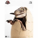 White Queen Hatching Egg par Elite Creature Collectibles - figurine 1/1 Jurassic Park 3 de 13 cm