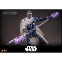 Magnaguard by Hot Toys - Star Wars Episode III: Revenge Of The Sith 1/6 scale action figure - MMS856