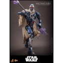 Magnaguard by Hot Toys - Star Wars Episode III: Revenge Of The Sith 1/6 scale action figure - MMS856