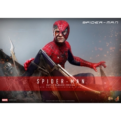 Spider-Man (Battle Damaged) by Hot Toys - MMS859 - Spider-Man 1/6 scale action figure
