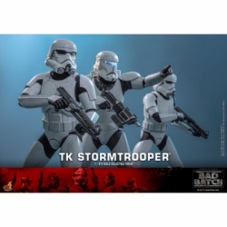 TK Stormtrooper by Hot Toys - TMS175 - Star Wars : The Bad Batch 1/6 scale action figure