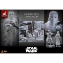 Snowtrooper Commander by Hot Toys Exclusive - MMS835 - Star Wars : The Empire Strikes back 1/6 scale action figure