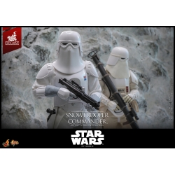 Snowtrooper Commander van Hot Toys Exclusive - MMS835 - Star Wars : The Empire Strikes back 1/6 schaal actiefiguur