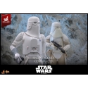 Snowtrooper Commander by Hot Toys Exclusive - MMS835 - Star Wars : The Empire Strikes back 1/6 scale action figure