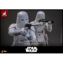Snowtrooper Commander van Hot Toys Exclusive - MMS835 - Star Wars : The Empire Strikes back 1/6 schaal actiefiguur