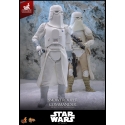 Snowtrooper Commander Exclusive par Hot Toys - MMS835 - figurine 1/6 Star Wars : L'Empire Contre-Attaque de 30 cm