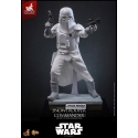 Snowtrooper Commander Exclusive par Hot Toys - MMS835 - figurine 1/6 Star Wars : L'Empire Contre-Attaque de 30 cm