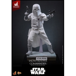 Snowtrooper Commander van Hot Toys Exclusive - MMS835 - Star Wars : The Empire Strikes back 1/6 schaal actiefiguur