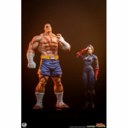 Sagat et Juli (Street Jam) par Premium Collectibles Studio - statue 1/10 Street Fighter de 24 cm