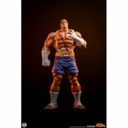 Sagat and Juli (Street Jam) by Premium Collectibles Studio - Street Fighter 1/10 scale statue