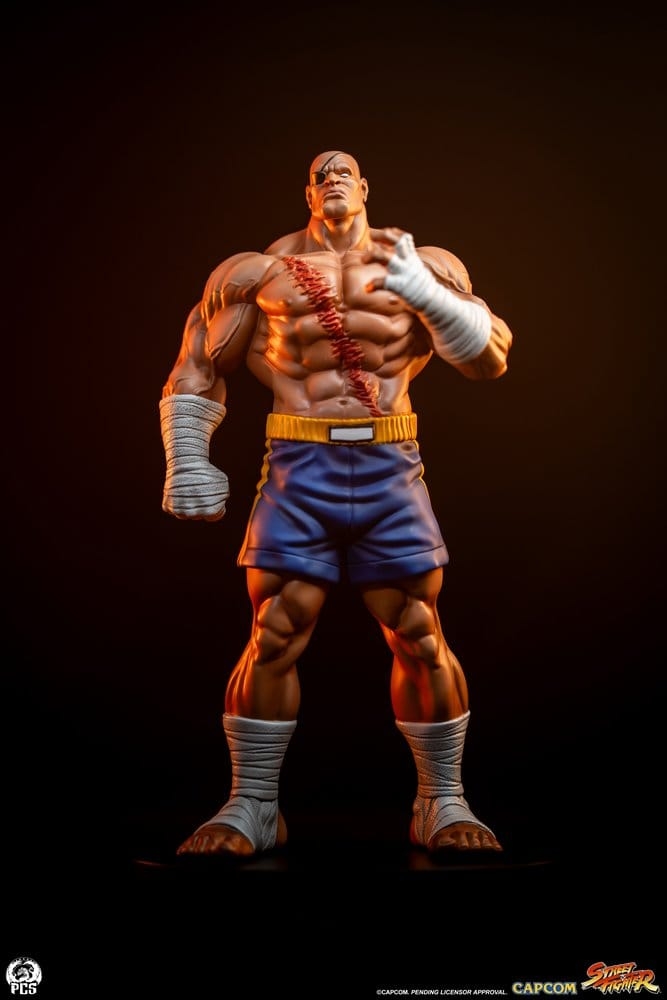 Sagat and Juli (Street Jam) by Premium Collectibles Studio - Street Fighter 1/10 scale statue