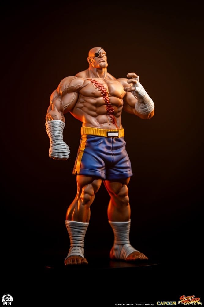 Sagat and Juli (Street Jam) by Premium Collectibles Studio - Street Fighter 1/10 scale statue