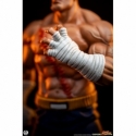 Sagat et Juli (Street Jam) par Premium Collectibles Studio - statue 1/10 Street Fighter de 24 cm