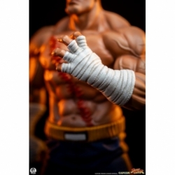 Sagat and Juli (Street Jam) by Premium Collectibles Studio - Street Fighter 1/10 scale statue