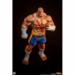 Sagat et Juli (Street Jam) par Premium Collectibles Studio - statue 1/10 Street Fighter de 24 cm