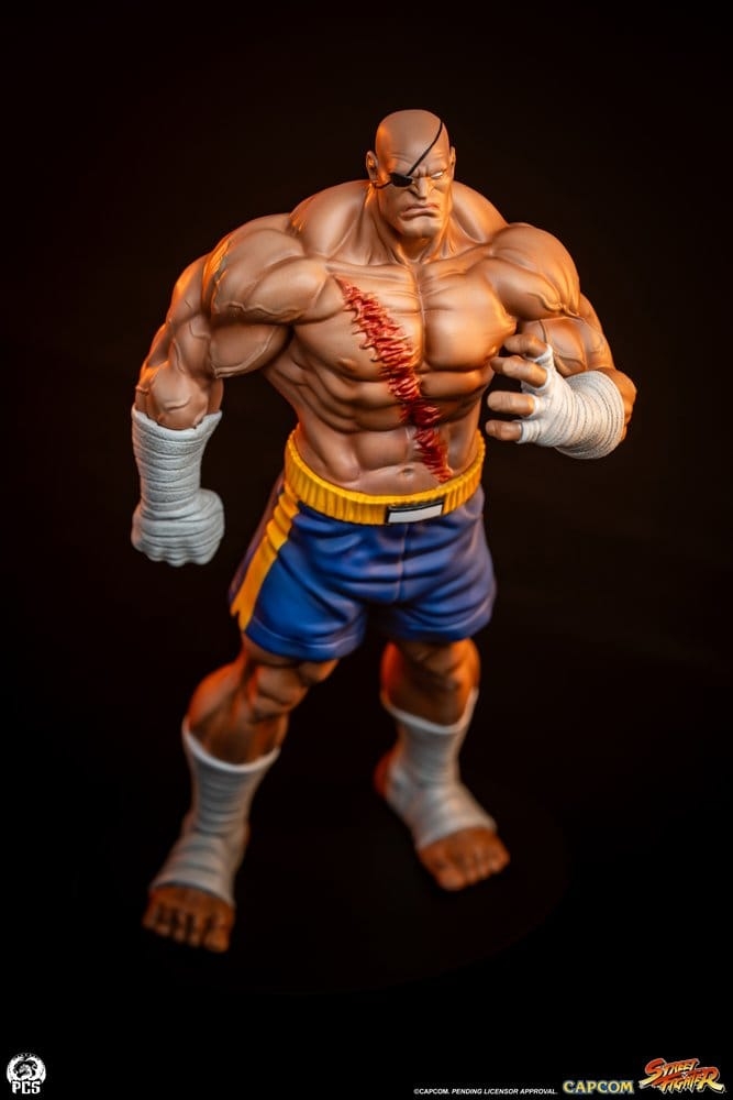 Sagat and Juli (Street Jam) by Premium Collectibles Studio - Street Fighter 1/10 scale statue