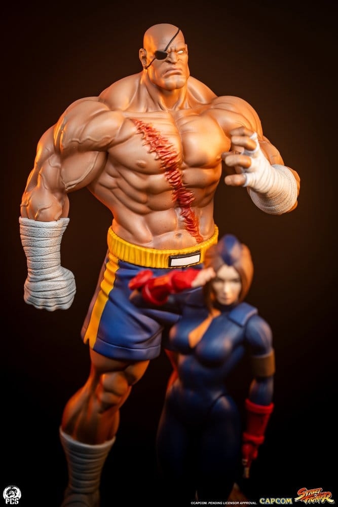Sagat et Juli (Street Jam) par Premium Collectibles Studio - statue 1/10 Street Fighter de 24 cm