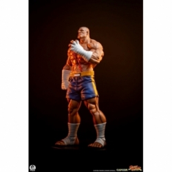 Sagat and Juli (Street Jam) by Premium Collectibles Studio - Street Fighter 1/10 scale statue