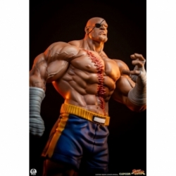 Sagat and Juli (Street Jam) by Premium Collectibles Studio - Street Fighter 1/10 scale statue