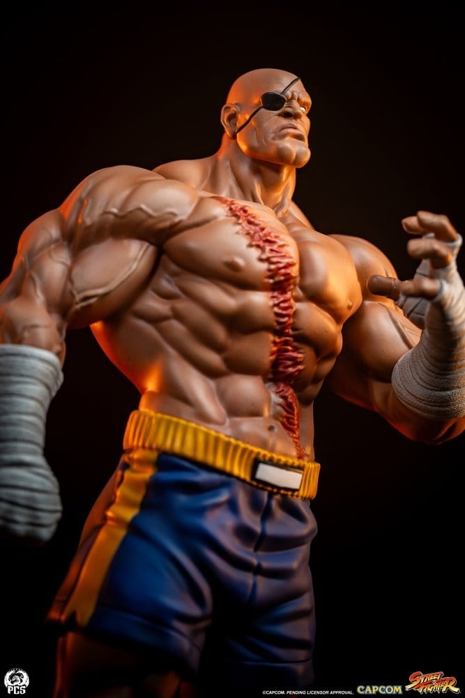 Sagat and Juli (Street Jam) by Premium Collectibles Studio - Street Fighter 1/10 scale statue