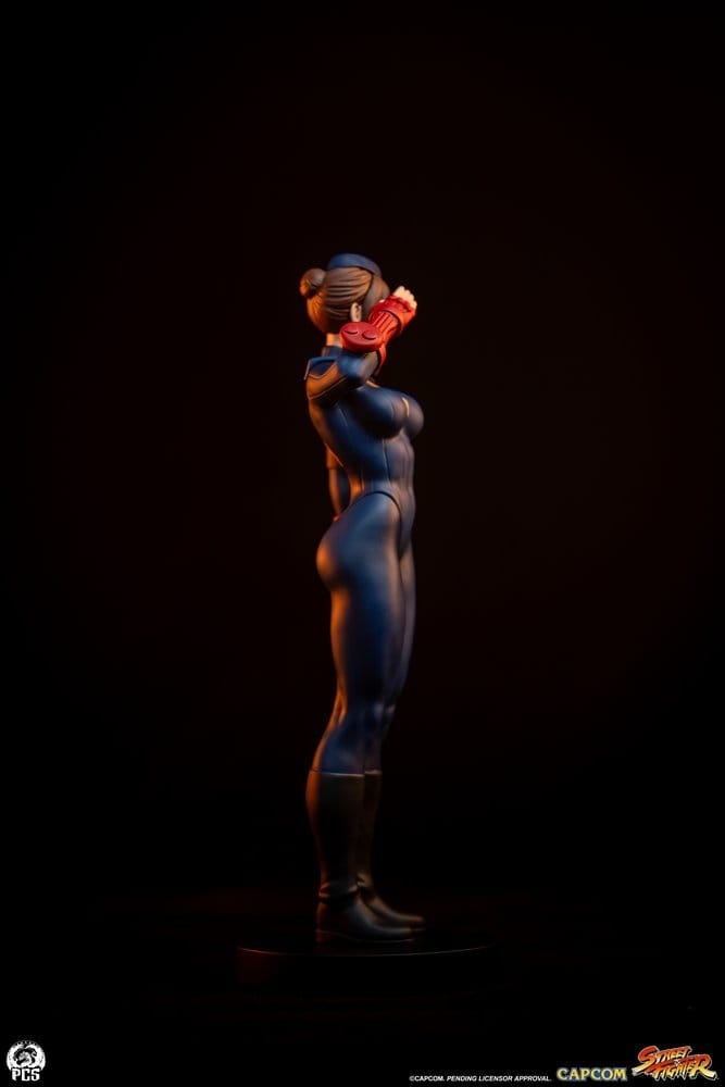 Sagat and Juli (Street Jam) by Premium Collectibles Studio - Street Fighter 1/10 scale statue