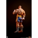 Sagat et Juli (Street Jam) par Premium Collectibles Studio - statue 1/10 Street Fighter de 24 cm