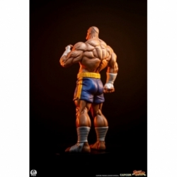 Sagat et Juli (Street Jam) par Premium Collectibles Studio - statue 1/10 Street Fighter de 24 cm