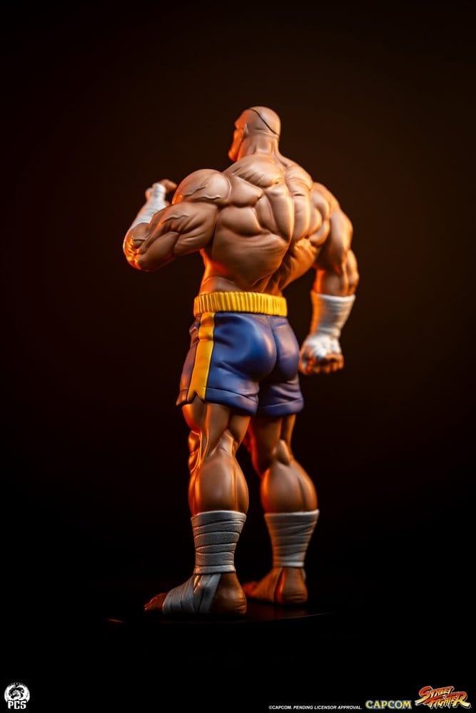 Sagat et Juli (Street Jam) par Premium Collectibles Studio - statue 1/10 Street Fighter de 24 cm