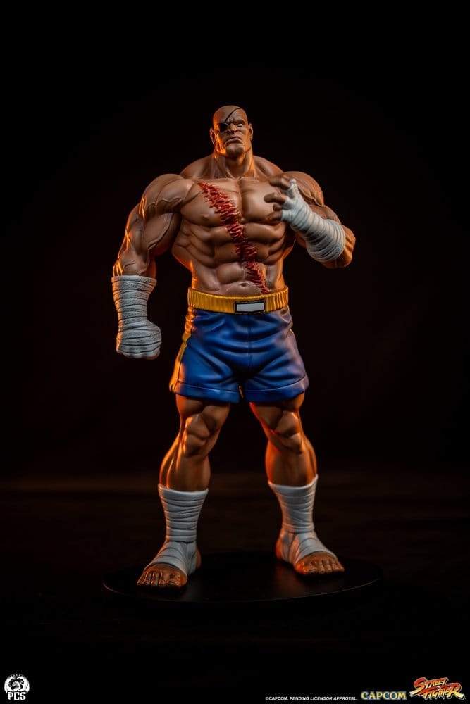Sagat and Juli (Street Jam) by Premium Collectibles Studio - Street Fighter 1/10 scale statue
