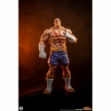 Sagat et Juli (Street Jam) par Premium Collectibles Studio - statue 1/10 Street Fighter de 24 cm
