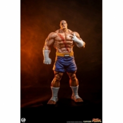 Sagat and Juli (Street Jam) by Premium Collectibles Studio - Street Fighter 1/10 scale statue