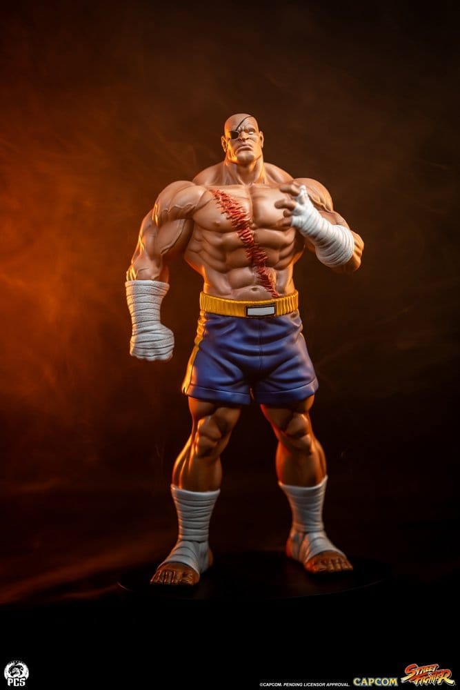 Sagat and Juli (Street Jam) by Premium Collectibles Studio - Street Fighter 1/10 scale statue