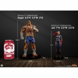 Sagat and Juli (Street Jam) by Premium Collectibles Studio - Street Fighter 1/10 scale statue