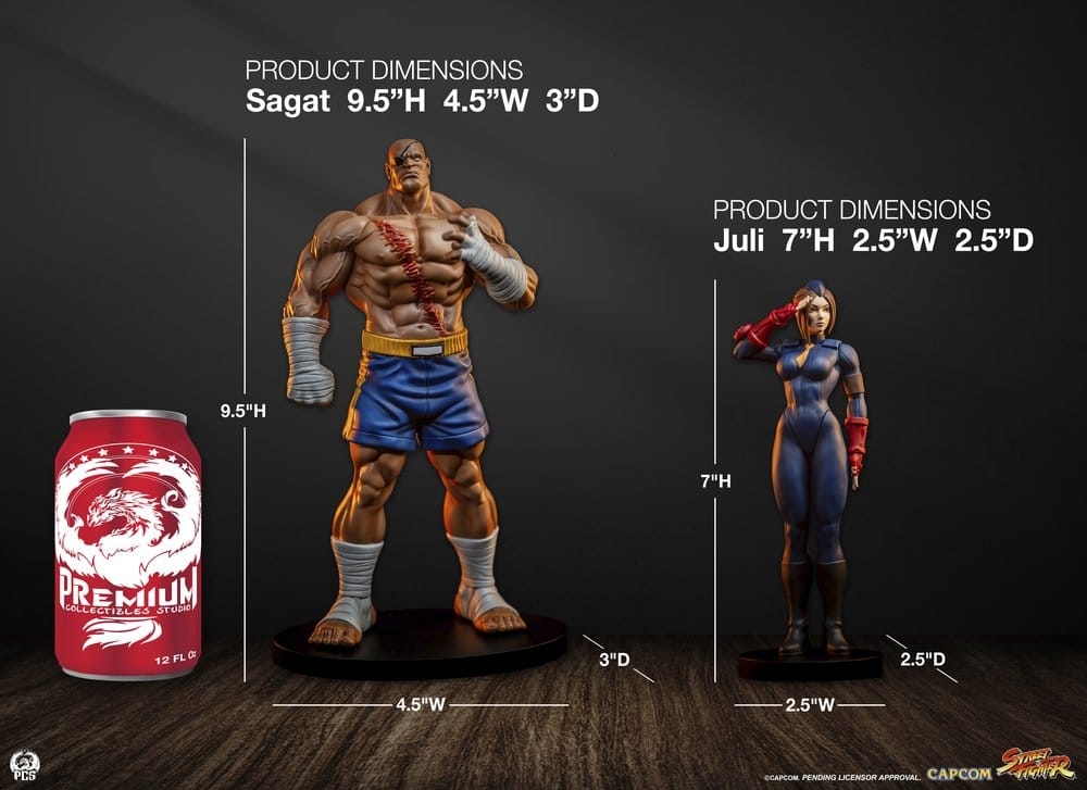 Sagat and Juli (Street Jam) by Premium Collectibles Studio - Street Fighter 1/10 scale statue