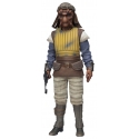Vizam Sixth Scale par Sideshow Collectibles - figurine 1/6 Star Wars Episode VI : Le Retour Du Jedi de 32 cm
