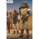 Vizam Sixth Scale van Sideshow Collectibles - Star Wars Episode VI: Return Of The Jedi 1/6 schaal actiefiguur