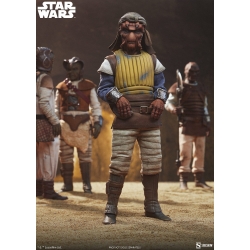 Vizam Sixth Scale van Sideshow Collectibles - Star Wars Episode VI: Return Of The Jedi 1/6 schaal actiefiguur