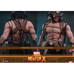 Weapon X par Hot Toys - CMS034 - figurine 1/6 Marvel Comics de 31 cm